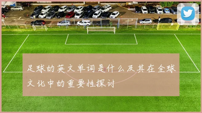 足球的英文单词是什么及其在全球文化中的重要性探讨