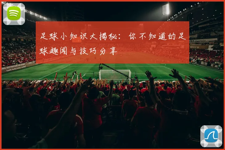 足球小知识大揭秘：你不知道的足球趣闻与技巧分享