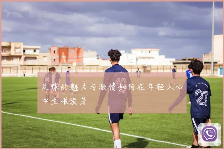 足球的魅力与激情如何在年轻人心中生根发芽