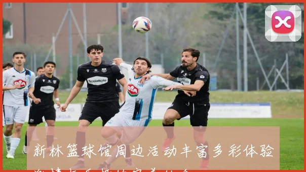 新林篮球馆周边活动丰富多彩体验激情与乐趣的完美结合