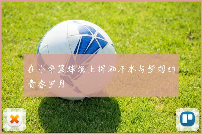 在小学篮球场上挥洒汗水与梦想的青春岁月